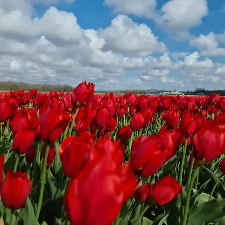 Apartamento Tamar Katwijk aan Zee