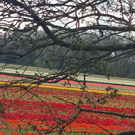 Tamar * Katwijk aan Zee